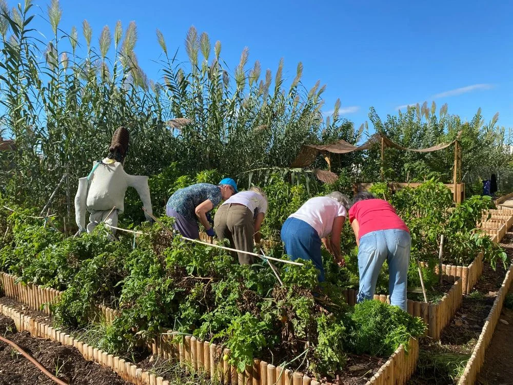 La Fundació Ferrer Green for Good i el CREAF presenten el projecte d’investigació HealthyCities4All